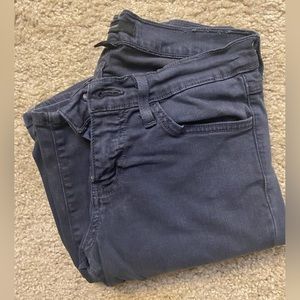 Flying Monkey Low Rise Skinny Stretch Jeans Blue/Slate Gray color.